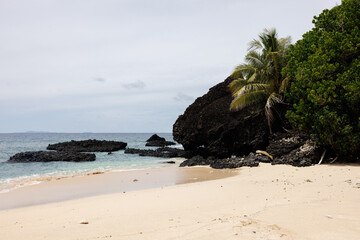 trees and rocks on little vomo island beach