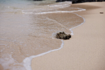 rock splashing in the surf of little vomo island fiji
