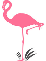 Flamingo mit transparentem Hintergrund 