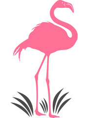 Flamingo mit transparentem Hintergrund 