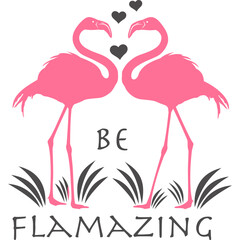 Flamingo mit transparentem Hintergrund 