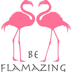 Flamingo mit transparentem Hintergrund 