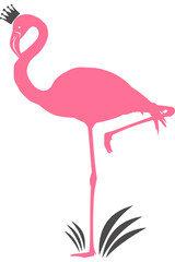 Flamingo mit transparentem Hintergrund 