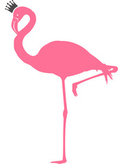 Flamingo mit transparentem Hintergrund 
