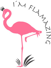 Flamingo mit transparentem Hintergrund 