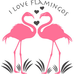 Flamingo mit transparentem Hintergrund 