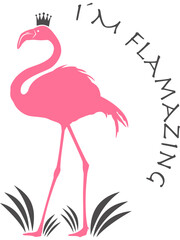 Flamingo mit transparentem Hintergrund 