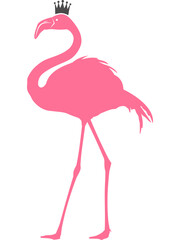 Flamingo mit transparentem Hintergrund 