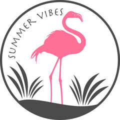 Flamingo mit transparentem Hintergrund 