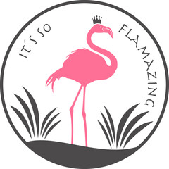Fototapeta premium Flamingo mit transparentem Hintergrund 