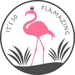 Flamingo mit transparentem Hintergrund 