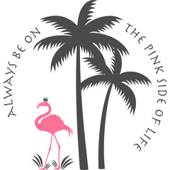 Flamingo mit transparentem Hintergrund 