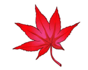 Autumn red leaf, autumn sticker