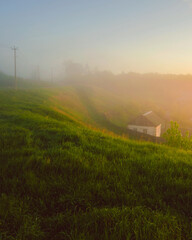 morning mist over the field