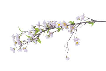 artificial branch with spring blooming cherry flowers. Isolate on white.  option available PNG