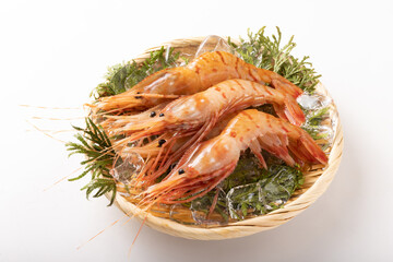 〔福島県産〕白ぼたん海老