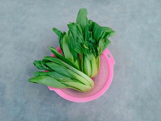 bunch of Pakcoy or Bok choy or mustard spoon (Brassica rapa subsp. chinensis). Popular green...