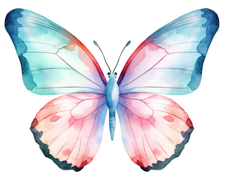 Cute pastel watercolor butterfly isolated.