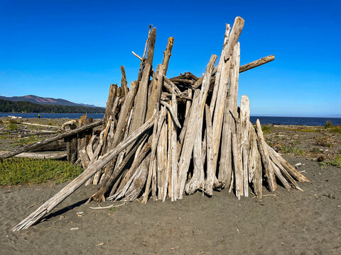 Driftwood shack by beach, Washington State, WA