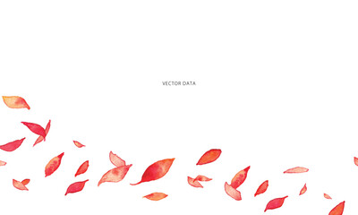 水彩画。水彩タッチの秋の赤い葉っぱベクターイラスト。水彩の和風秋の草木イラスト。Watercolor painting. Autumn red leaves vector illustration with watercolor touch. Watercolor Japanese style autumn plants and trees illustration.