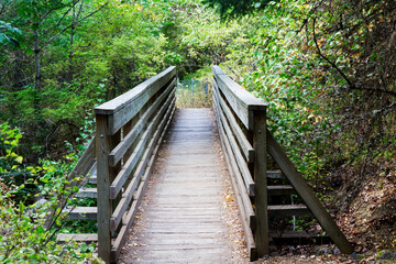 Fototapeta premium Wooden Bridge Surrounded By Green Plants On Footpath