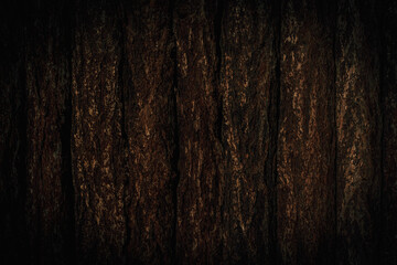 Dark tree trunk in a row 