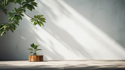 Minimalist background for product photography