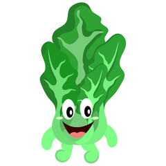 Green modern cute character with lettuce vegetable character