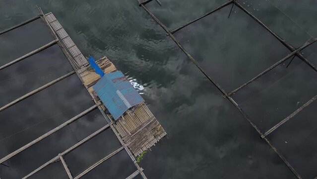 Bamboo tied together build industry of floating fish cages on a mountain lake. Top tracking drone aerial shot