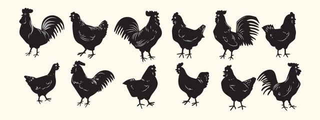 Set of silhouettes chicken rooster hen icon character vector illustration. Isolated on white background.