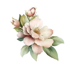 Floral branch for creating greeting cards. For wedding invitations, holiday cards and other design