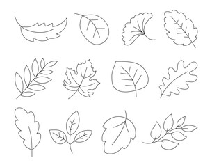 Cartoon autumn leaves. Coloring Page. Hand drawn style. Botanical. Vector drawing. Collection of design elements.