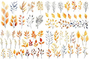 Watercolor set of fall branches on white background