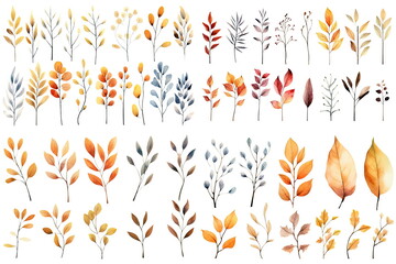 Watercolor set of fall branches on white background