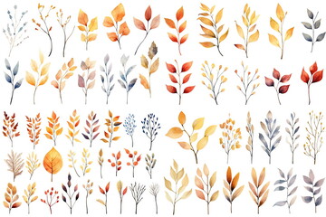 Watercolor set of fall branches on white background