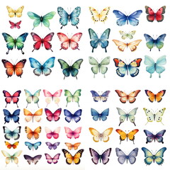 Fototapeta premium Watercolor set of painted butterflies