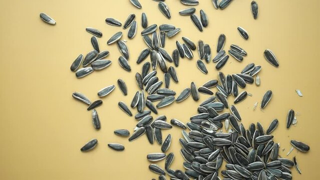 top view of sunflower seeds falling on a table. slow motion 