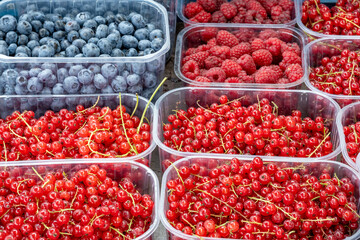 Red and blue berries for sale at a market