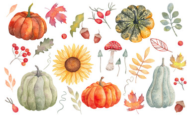 Collection of autumn elements. Pumpkins,maple leaves,sunflower,mushrooms,acorn,oak leaf,rose hip,rowan. Clipart for seasonal holidays design. Thanksgiving,Halloween.Handmade isolated art.