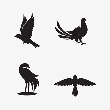 birds and wing logo animal vector icon fly design illustration template graphic