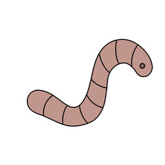 Fototapeta premium Illustrator of earthworm