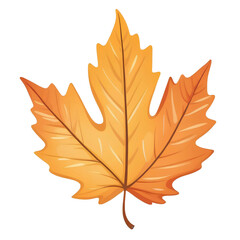 autumn maple leaf
