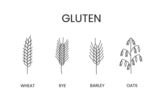 Cereals containing gluten vector line icons set. Food allergens oats and barley, rye and wheat