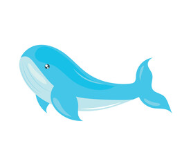 Fototapeta premium whale sea life icon