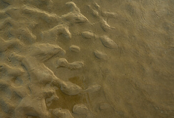 Sand texture. Sandy beach for background. Top view. Wet surface in coastal area of a beach on sunny day