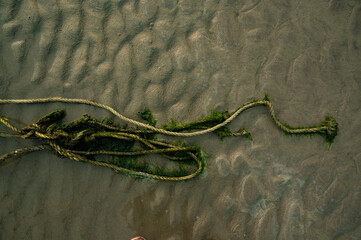 local fisher man fixed the rope in beach to tie their net at high tide to catch fish. Waste from fishermen on a beach. Nets, ropes and other waste that is harmful to the environment.