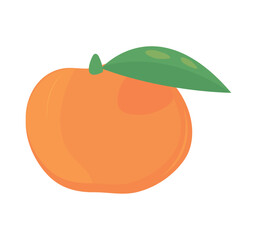 orange fruit icon