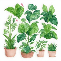Set of houseplant pot