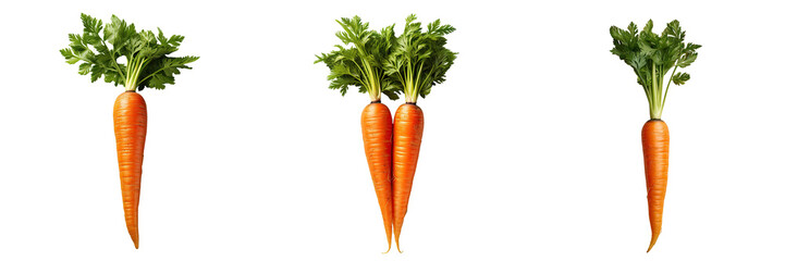 Carrot on a transparent background - obrazy, fototapety, plakaty