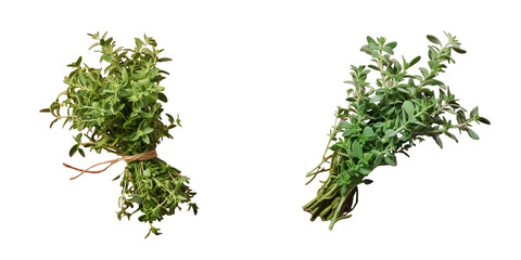 Fresh thyme arranged on a backdrop transparent background
